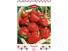 ��������� ������� ����.jpg