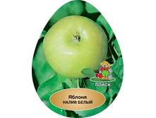 ������ ����� ����� � �������.jpg