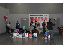 IMG_3768.JPG