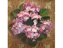 Mac`s Blashing Bridesmaid.jpg