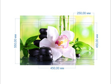 liliya �������.jpg