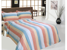 14�12_4_2. ���. 215�175. ���60 ������40. 2434 ���..jpg