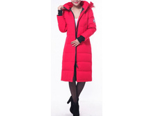 �����  �������_8340 ���.