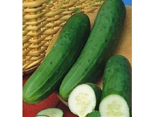 ������ ���������� F1 10�� (���� 98),(��) 9,50 ���. [���.10000690]