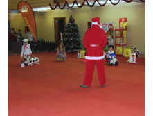 1-IMG_3977.JPG