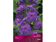 ����� ����������� ����.jpg