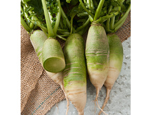 �. ������ ������ ���� ���� ���. 30 ���. ��. �������� 25 ��. ���������� � ���������� ����.