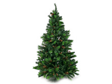 ���"������ ����� � �������"