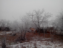 IMG_20141130_132855.jpg