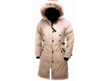 ����� 6 ���_6610 ���..jpg