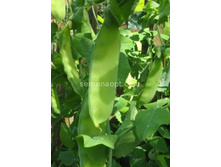 ����� ������� ������ ��������,(��)4,50 ���. [���.9000439]