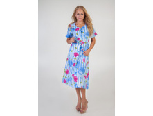 ����� "�����"  �������: F-147  ������: ����