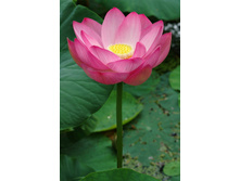 ����� ����-���� ����.jpg