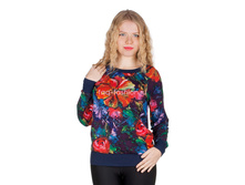 ������� ����� ������� SwSh2-4.jpg