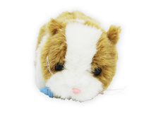 ������� - �����, �����., ���� �� ���. , 22*11*11 ��