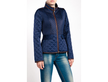 WP 9555 (C W9555.38) ������ 43 ��