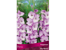 ��������� ��� �����.jpg