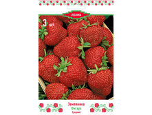 ��������� ������� ������.jpg