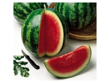 ����� ������� ����,(�������) 7,60���.webp