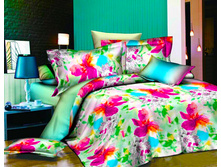 ����-����� CSX-1344  �������: Z-CSX-1344