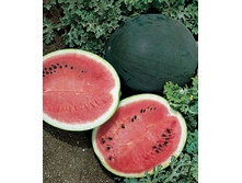 ����� ���� �����,(��) 7,00 ���. [���.9000640]