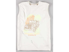 DZUNGLA ����������� 4 � �.86-1��,���� 252 ���.jpg