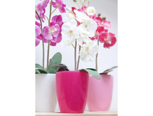 �������-������� 3.jpg