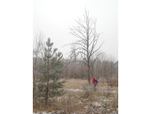DSCN2841s.JPG