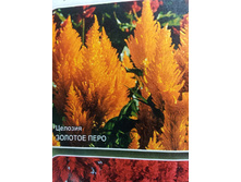 ������� ������� ���� 15 ��� 6 ����.jpg