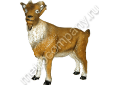 3214���. ����� (���������) 88�70 ��.png