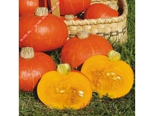 ����� ������,(��)3,50 ���. [���.15000031]