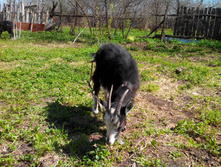 IMG_20140503_123334.jpg