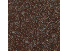 ���������� ��������.jpg