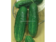 ������ ��������� �������������� 15��,(��) 4,00 ���. [���.10000254]