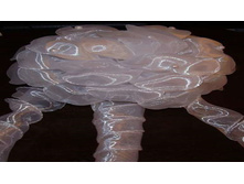 115���. ���.19.jpg