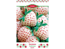 ��������� ������� ���������.jpg