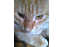 ������� 14-4.jpg