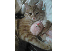 ������ 14-8.jpg