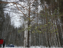 DSCN4243.JPG