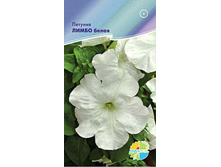 ������� ����� �����_12,80+%