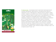 ������� ����.png