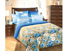 ������� ����