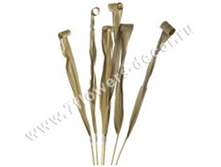 image131 - ����� - ����� - �����.png