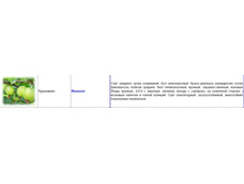 ��������� �������.jpg