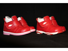 ������ 31