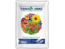 ����� ���, ��������� ���� (100 ��.jpg