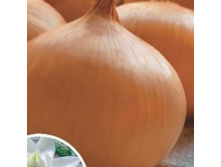 ������ ��� �������� (����������) (0,4 �).jpg