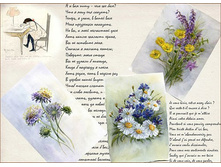 ���������� ����� ���.CH.702 ������� ����� ������ �3.jpg