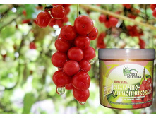 ������ �������-������������