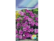 ��������� ������� ������ ����������_14,20+%